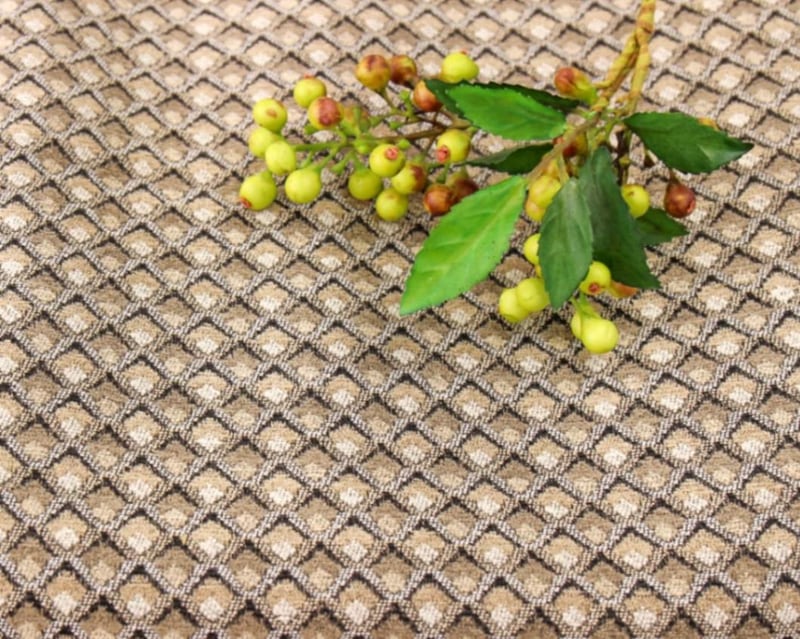 [Import]miniåȥۡCLARKE & CLARKELYRA [M 1/5]