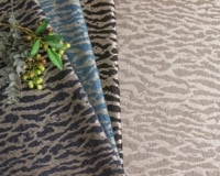 [Import]miniåȥۡCLARKE & CLARKEGAUTIER [M 1/5]