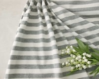 ��5m���åȡۥȥå������ŷ���ܡ������˥å� Kaino��[M��NG]