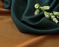 [PD]�������ơ������եȲù�����ͥ��顼�Υƥå��Ǻ�ե��֥�å� Apolline��[M�� 1/2]