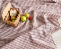 5måȡۡŽ䥨꡼ǥʥʥåȥandե֥å Aurelia[MNG]