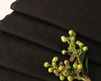 Ѥ꿥ɥӡΥ֥å顼åȥե֥åTullia [M 1/6]