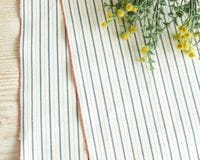 �㲬�������������᥹�ȥ饤�פΥ���ӥå������� Justine��[M�� 1/2]