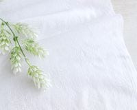 ơեȲù䥸㥬ɿΥʥ륳åȥ Louise[M 1/6]