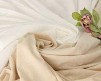 �ʥ�����ʼ����Υ��åȥ�and��ͥ�ŷ���˥å� Albina��[M�� 1/2]