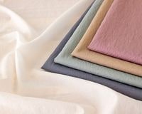 ơեȲùηڤ䤫ʥ Elvira [M 1/6]