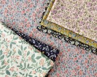 �㥽�եȲù��䥳�åȥ������Υץ��ȥե��֥�å� Colette�� [M�� 1/6]