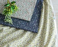 [PD]㥽եȲù䥳åȥΥץȥե֥å Sophie [M 1/6]