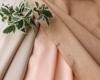 ��5m���åȡۡ㥷�륱�åȲù��䥳�åȥ�ݥ���˥åȡ�Alita��[M��NG]