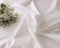 㥷륱åȲù䥳åȥŷ˥åȡʥեۥ磻ȡˡCarlotta [M 1/4]