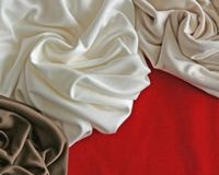 �㥷�륱�åȲù���졼��󥭥�ץ�Τʤ�餫�ݥ���˥å� Carla�� [M�� 1/2]