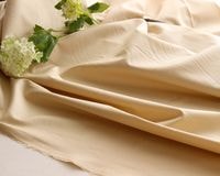 㤳ۡץߥॳåȥκּꥵƥ(١)  Cassandre[M 1/6]