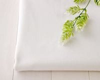 5måȡۡ㲬ۥ磻ȥ顼Τ餫ǥ˥12 Sibylle[MNG]