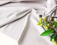 �㥷�륱�åȲù��䥳�åȥ�and�졼���Υ��ࡼ���˥åȡʥѡ��륰�졼�� Marion��[M�� 1/3]