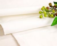 㲬11󥹥פΥȥåۥ磻ȥǥ˥ Bertille[M 1/2]