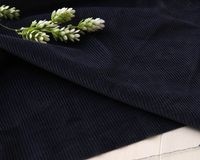 㥽եȲùפν餫ҹǥ(ͥӡ֥롼) Astrid[M NG]