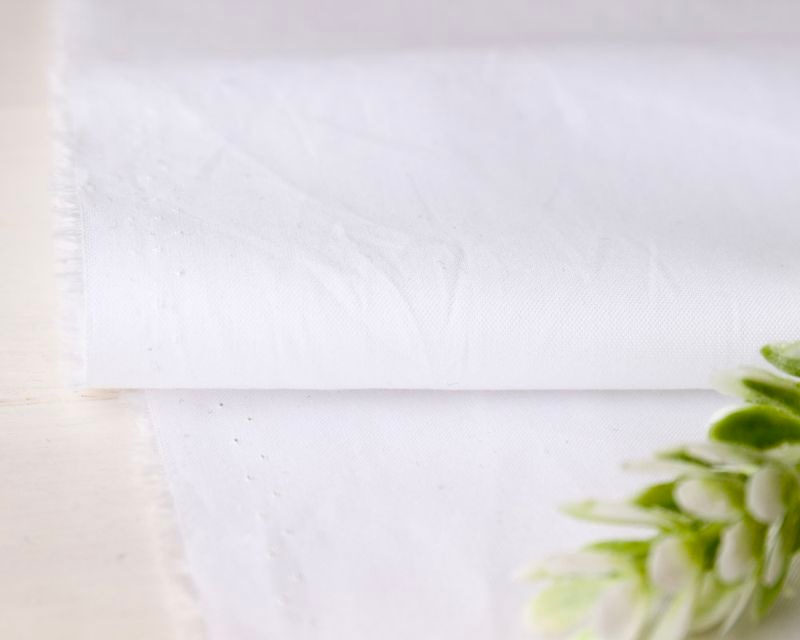 㥤꡼㤳ּۡꥪåΥץߥॳåȥʥۥ磻ȡ Adelina[M 1/6]