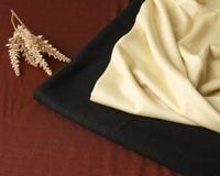 �ץ�ߥ��०����Υ���ä�ŷ���˥å� Laetitia��[M�� 1/3]