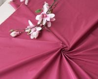 㥤꡼ù㤳ۡ䥹ѥ˥åΥץߥࡦե Violette[M 1/6]