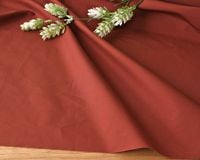 ��5m���åȡۥƥ饳�å����顼�����ּ�Υ����ץ饤�������åȥ� Alba��[M��NG]