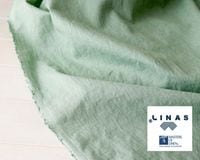 �������ơ������եȲù���LINAS�������ƥ��󥰲ù��������ơ������ߥ�ȥ��顼�Υ�ȥ��˥���ͥ� Delphine��[M�� 1/1]