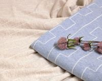 ���㥬���ɥǥ�����Υ��åȥ�΢�ӥ˥å� Roxanne�� [M�� NG]