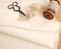 �����󥿡����顼�Υ��åȥ󥳡��ǥ���� Angeline��[M�� 1/2]