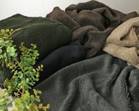 �㥤���꡼����ȥ������ʡ��ܥ��˥å� Antonia��[M�� NG]