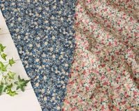 �ϡ��֥ߥ��ȥǥ�����Τ��餫���åȥ�ӥ��� Edda��[M�� 1/8]