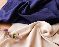 ��5m���åȡۤդ��꥽�եȲù��Υץ�ߥ�����֥륬������Luisa��[M��NG]