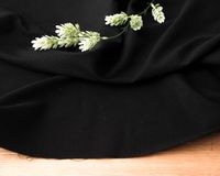 �Ѥ�꿥��ɥӡ��νĥ��ȥ�å��������� Aloisia(�֥�å�)��[M�� 1/3]