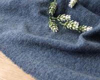 �㥤���꡼���䥦���뺮�Υ��饤�С����˥åȡ��֥롼���졼 Albina��[M�� NG]