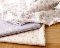 ��ʥ����롦���եȲù��䥳�åȥ�and��ͥ�Τ����䤫�ץ��ȥե��֥�å� Agathe��[M�� 1/7]