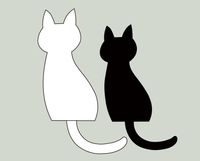 ��ˡ�ޡ�NO.5312�ۤʤ��褷�ͥ��Τ̤�����ߡ�S/M�ۡ�[M�� 0/1]