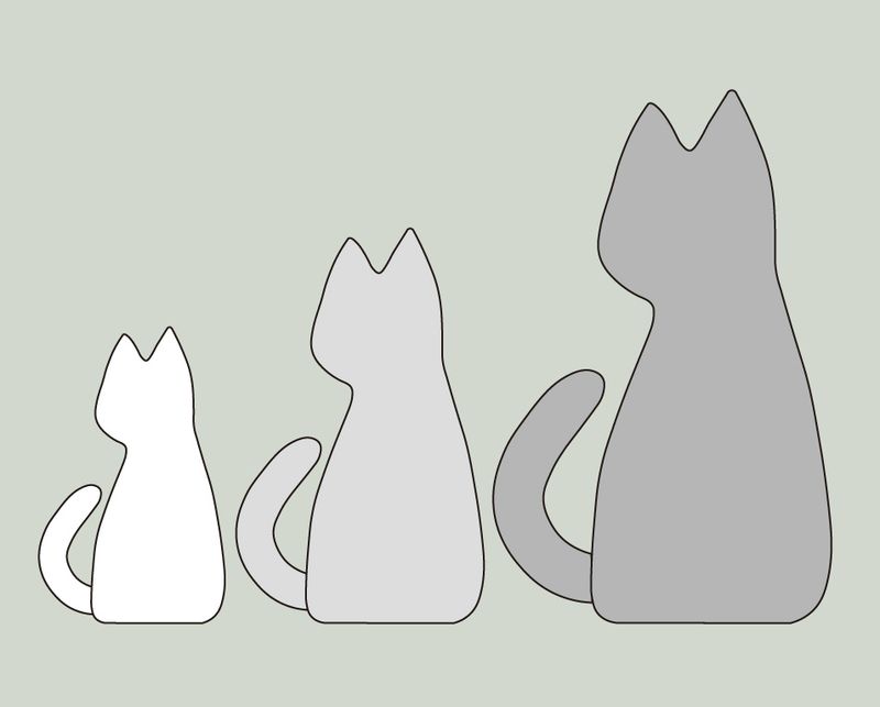 ��ˡ�ޡ�NO.5314�����դΥͥ��Τ̤�����ߡ�S/M/L�ۡ�[M�� 0/1]