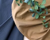 ��5m���åȡۡ�ޥ������������ֲù��䤵��äȤ��������ζ�ǲ�女�åȥ� Agnes��[M��NG]