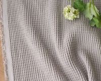 ���������졼�Τդ��ꥳ�åȥ��åե� Asta�� [M�� 1/2]