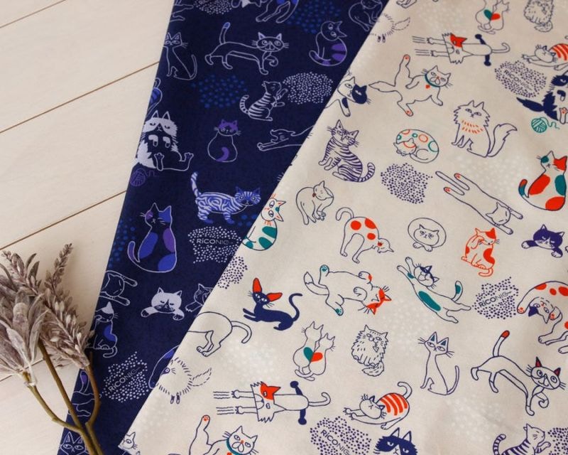 ASOBI ǭ�Υ��åȥ�ץ��� Aurore��[M�� 1/8]