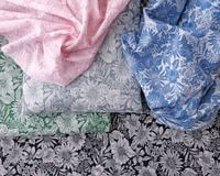 �ץ�ߥ��������Υ��åȥ��åץ롦�ץ��� Diana�� [M�� 1/4]