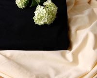 ���åȥ�and���륯�Υ�����˥å� Olive�� [M�� 1/1]