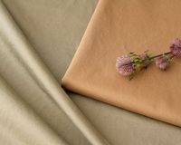 ��5m���åȡۡ������ơ������եȲù��䤷�ä�����餫�Υץ�ߥ��ॳ�åȥ� Pascale��[M��NG]