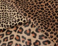 �ڥ��åȥ������ۥ쥪�ѡ������쥶�������Хå��ѥ����� Leopard��[M�� NG]