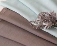 �������ơ������եȲù��䶯ǲ��졼���Υ�������å���ե��֥�å���Reine�� [M�� 1/8]