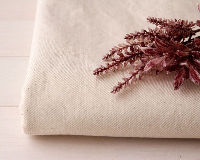 ��Japan Denim��������ơ��������եȲù���ʥ����륫�顼�Τ��ä���ǥ˥��14���������� Cornelia��[M�� NG]