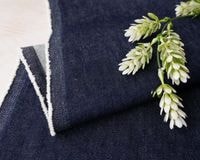 ��Japan Denim��������ơ������եȲù���12���󥹥��饹�Υ��ȥ�å��ǥ˥�ͥ��ӡ� Annette��[M�� 1/2]