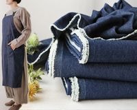 ☆洋服用接着芯・極薄ソフト 【1Mカット】 [M便 1/3] [K]の通販