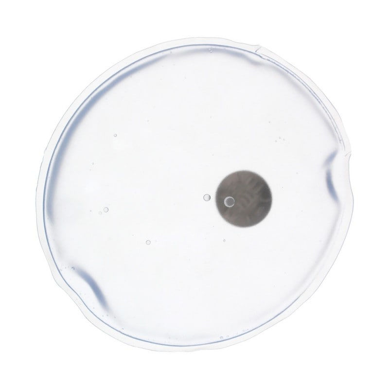 繰り返し使えるエコなカイロ リウォームカイロ 丸型 クリア