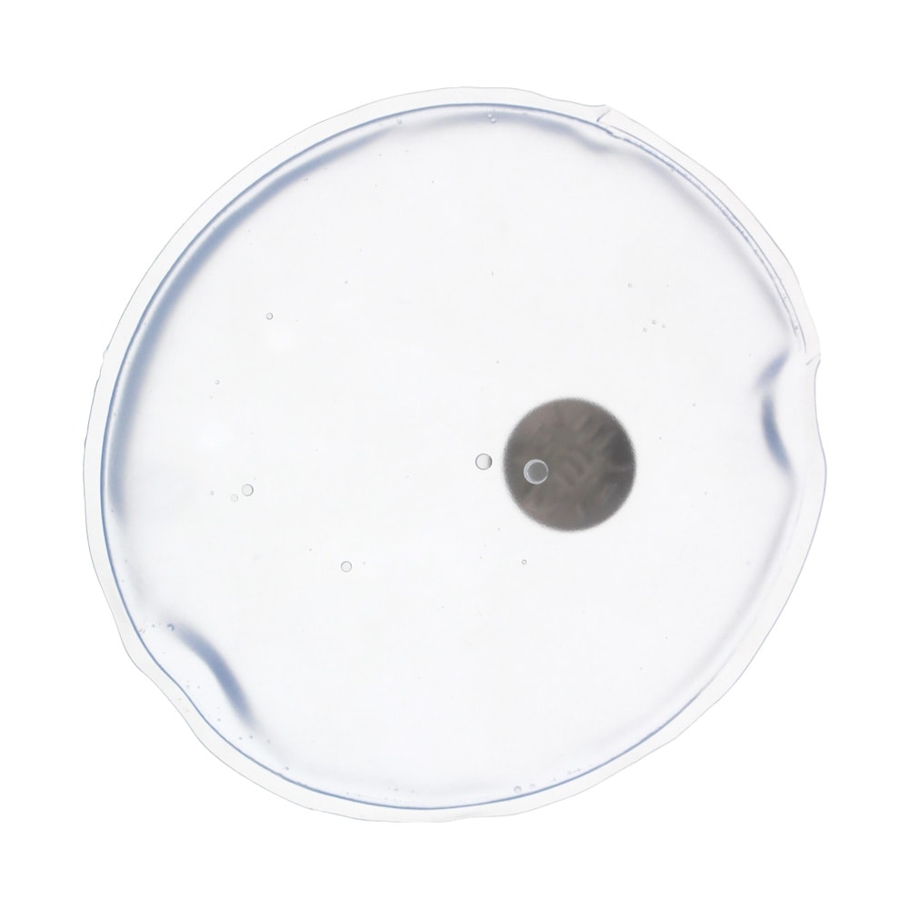 繰り返し使えるエコなカイロ リウォームカイロ 丸型 クリア｜パーツ