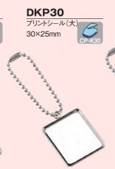 ドームプレート メタル片面 長方形30×25mm（プリクラ大）DKP30 （10個セット）