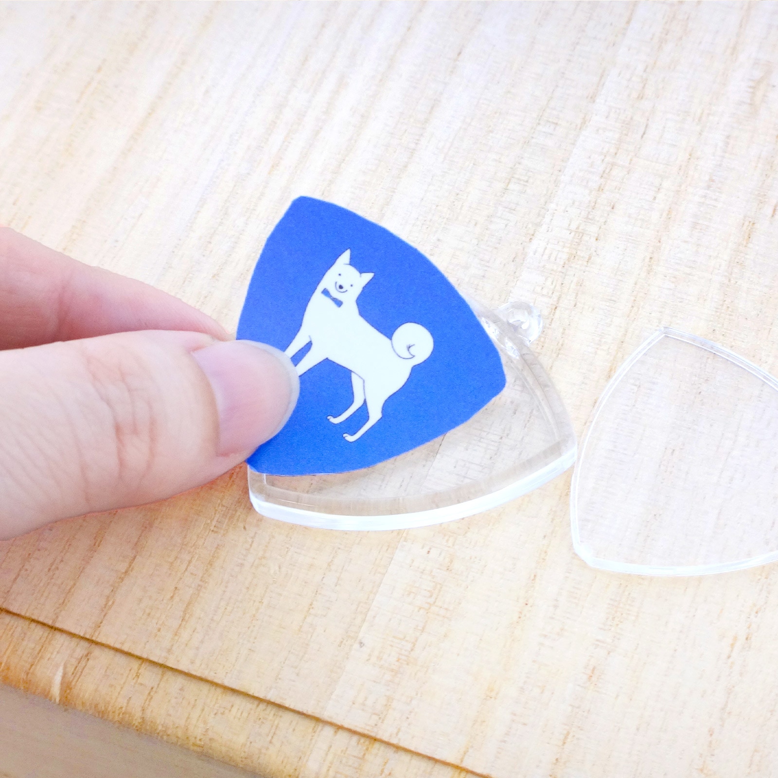 ハメパチ ピック型 KP33 キーホルダー 555 S 付き （CAK-P33A）